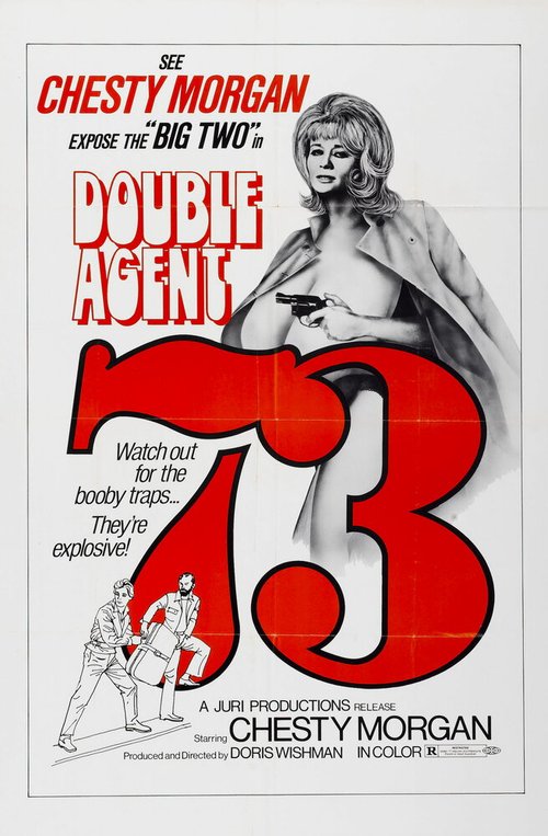 Двойной агент 73