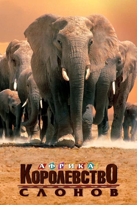 Африка — королевство слонов
