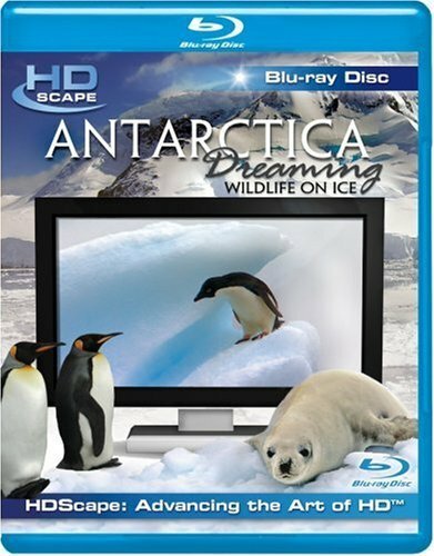 Антарктика — Дикая жизнь на льду