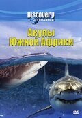 Discovery: Акулы Южной Африки