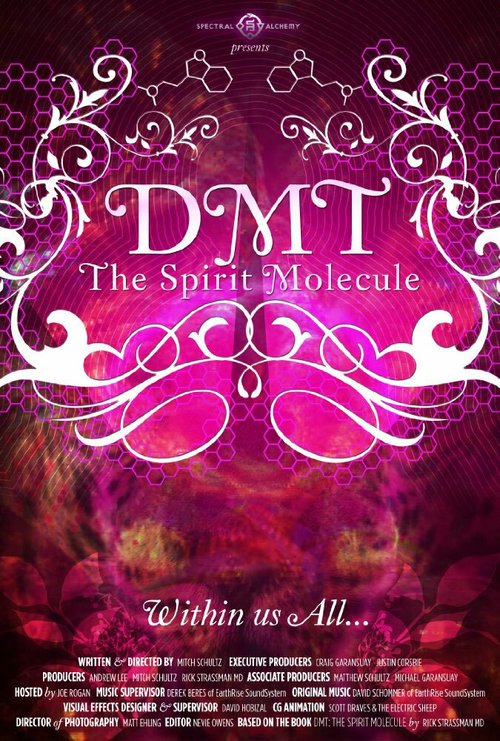 ДМТ: Молекула духа