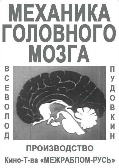 Механика головного мозга
