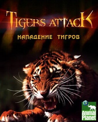 Нападение тигров