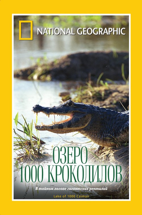 НГО: Озеро 1000 крокодилов