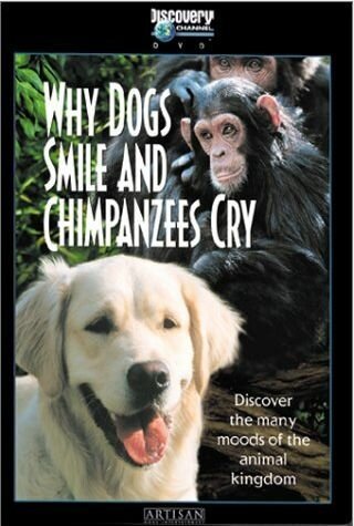 Почему собаки улыбаются и шимпанзе плачут