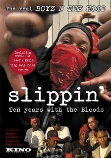 Slippin': Ten Years with the Bloods