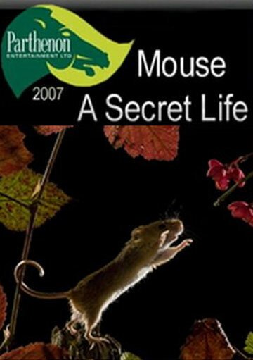 Тайная жизнь мышей