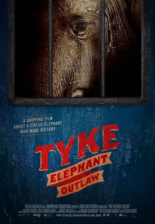 Tyke Elephant Outlaw