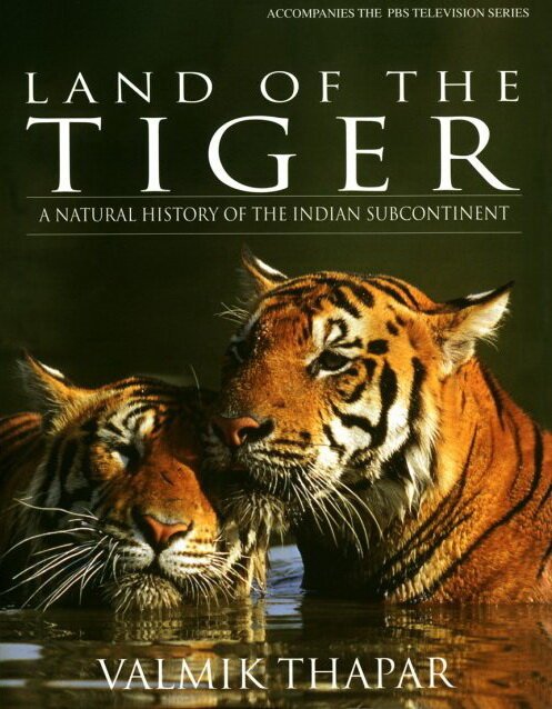 Земля тигров