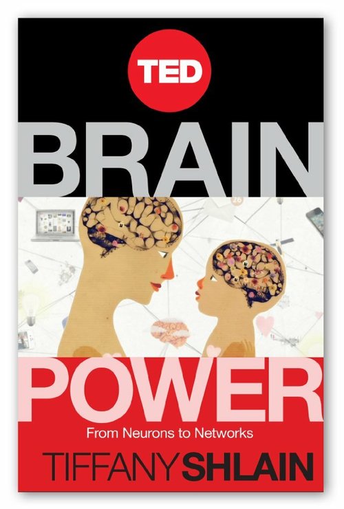 Brain Power: From Neurons to Networks